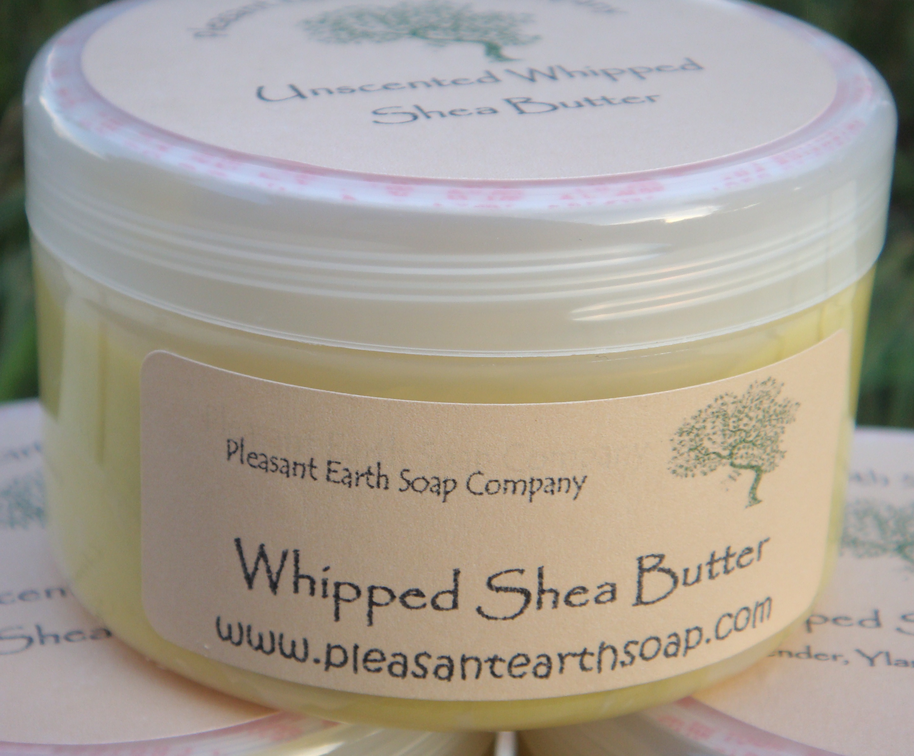 simpleimage of shea butter simpleimage of shea butter